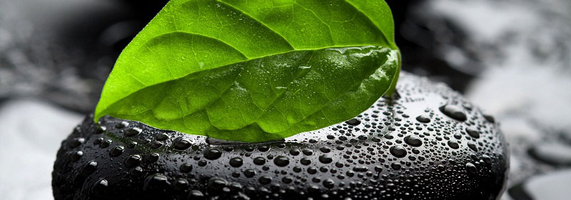 �������� �������� �����